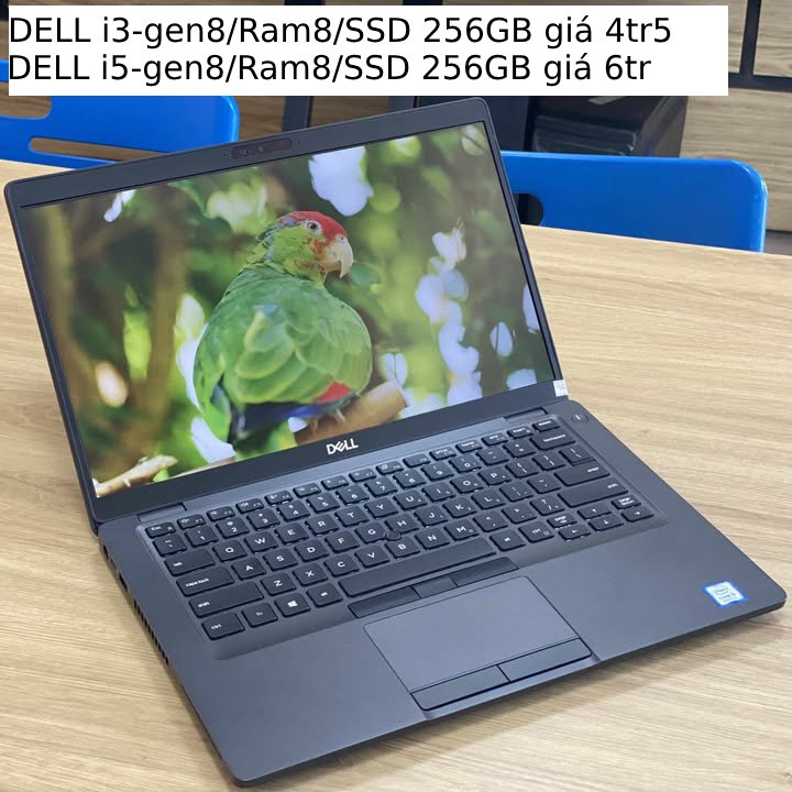 494361660_732104375836340_2282717706879629864_n